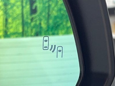 2024 Toyota VELLFIRE thumbnail 28