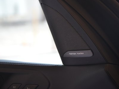 2023 BMW X7 缩略图 138