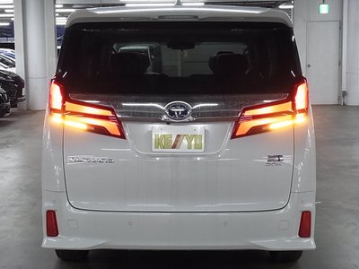 2022 Toyota ALPHARD 照片 10