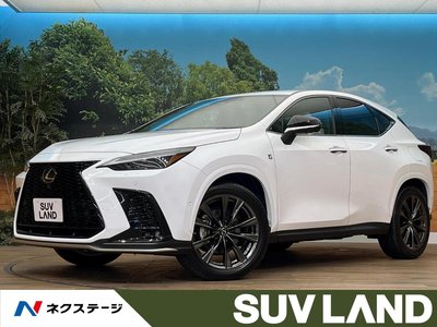 LEXUS NX - 1