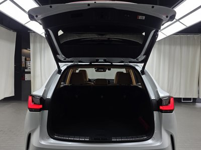 2024 Lexus NX 缩略图 23