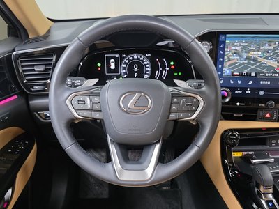 2024 Lexus NX 缩略图 20
