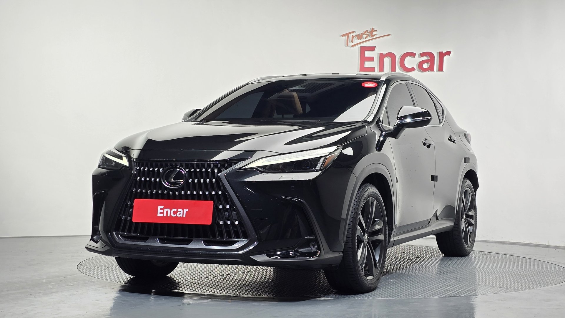 LEXUS NX - View 1