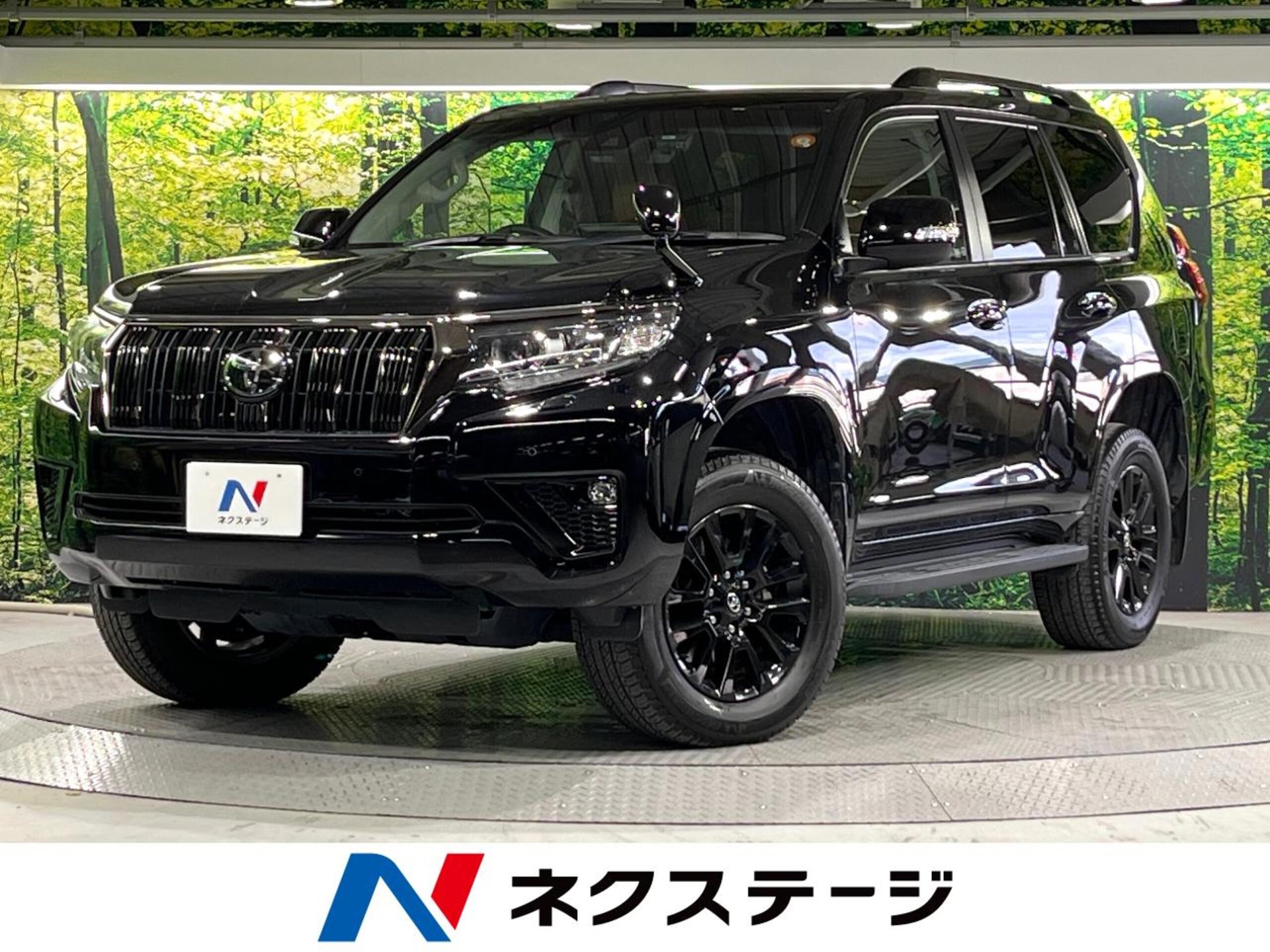 TOYOTA LAND CRUISER PRADO - View 1