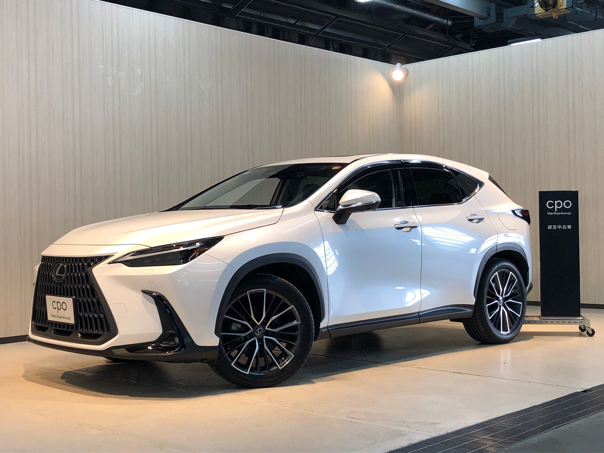 LEXUS NX - View 1