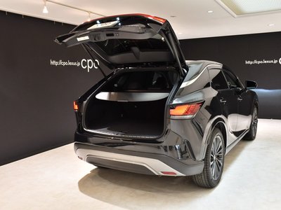 صورة 9 لـ 2023 Lexus RX