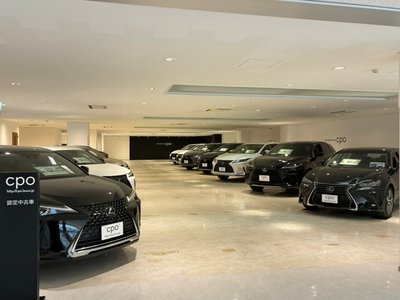 2023 Lexus RX — миниатюра 21