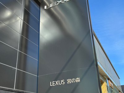 2023 Lexus RX — миниатюра 17