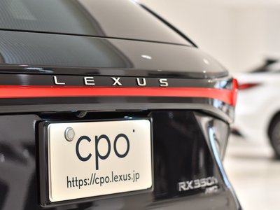 صورة 7 لـ 2023 Lexus RX