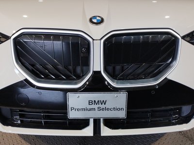 2025 BMW X3 缩略图 12