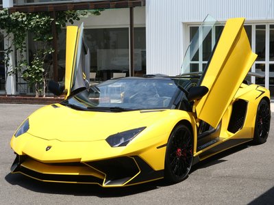 2016 Lamborghini AVENTADOR ROADSTER 照片 2