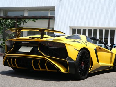 2016 Lamborghini AVENTADOR ROADSTER 照片 5