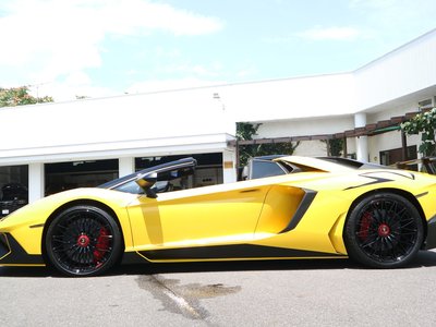 2016 Lamborghini AVENTADOR ROADSTER 照片 4