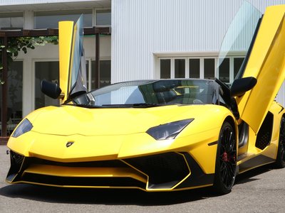 2016 Lamborghini AVENTADOR ROADSTER 照片 1