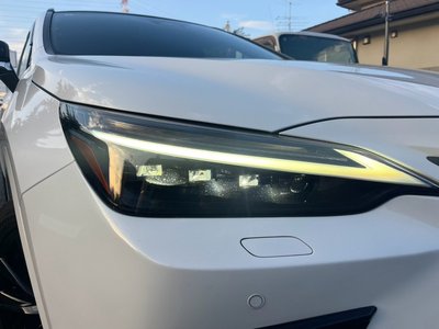 2023 Lexus NX 缩略图 69