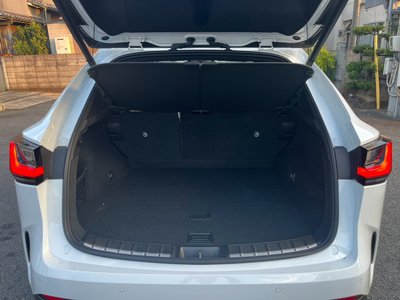 2023 Lexus NX 缩略图 13