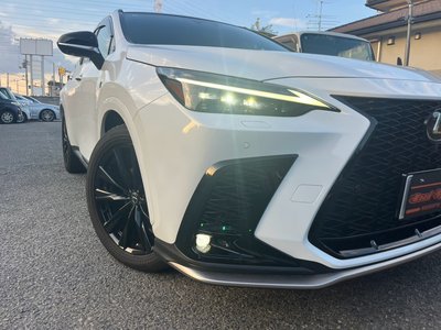 2023 Lexus NX 缩略图 68