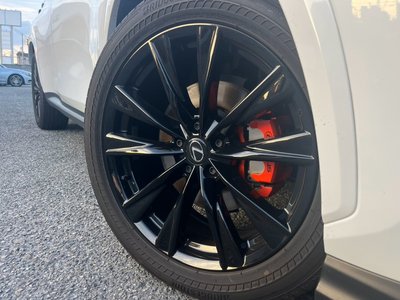 2023 Lexus NX 缩略图 71