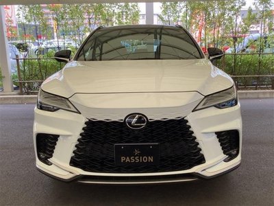 LEXUS RX - 6