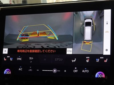 TOYOTA ALPHARD - 9