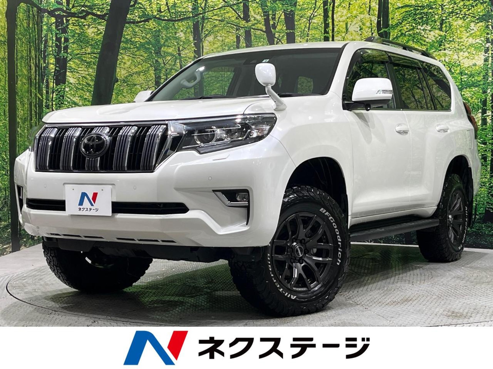TOYOTA LAND CRUISER PRADO - View 1