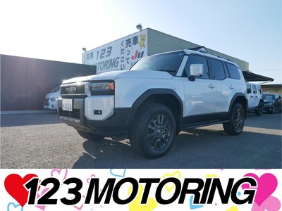 TOYOTA LAND CRUISER 250 - 1
