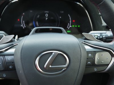 صورة مصغرة 50 لـ 2023 Lexus RX