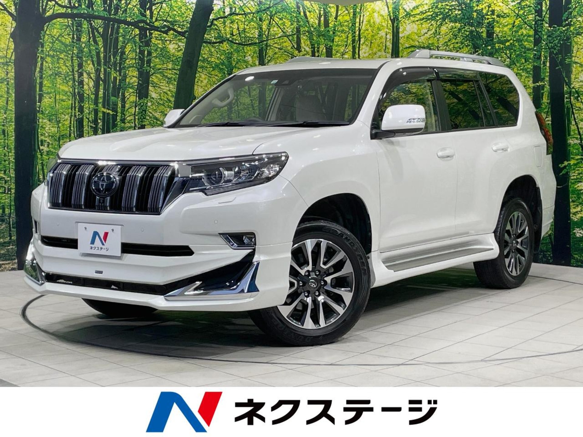 TOYOTA LAND CRUISER PRADO - View 1
