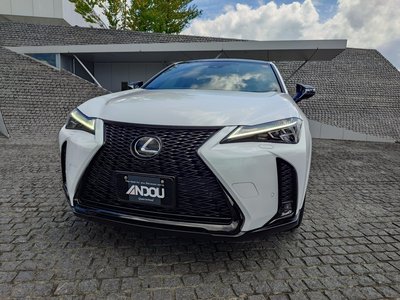 2024 Lexus UX 照片 6