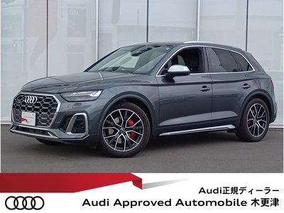 2022 AUDI SQ5 照片 1