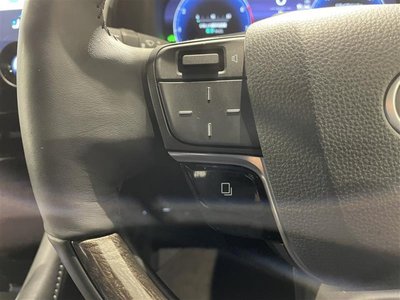 2025 TOYOTA ALPHARD 缩略图 12