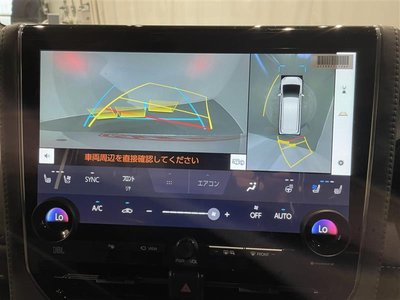 2025 TOYOTA ALPHARD photo 9