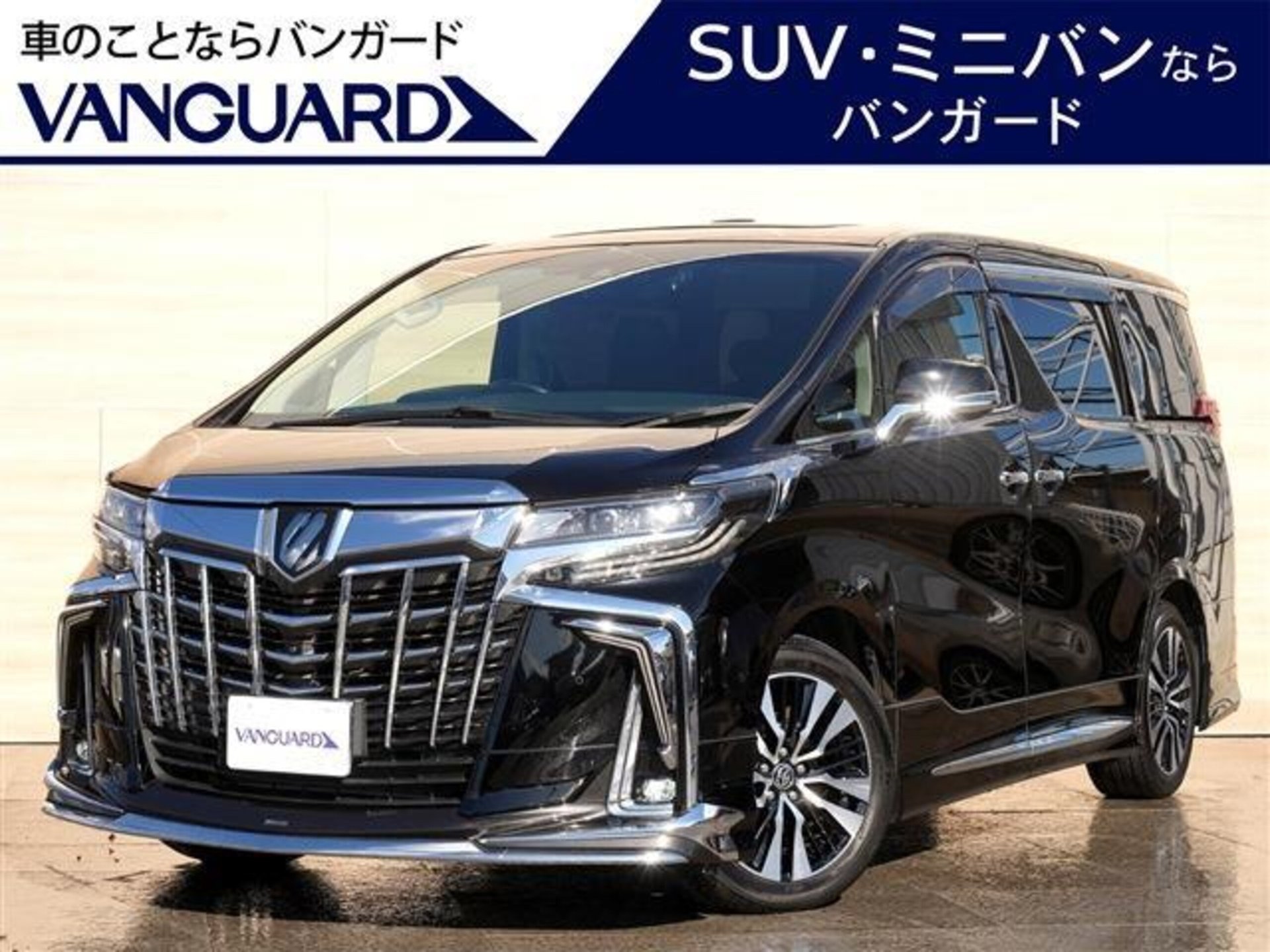TOYOTA ALPHARD - View 1