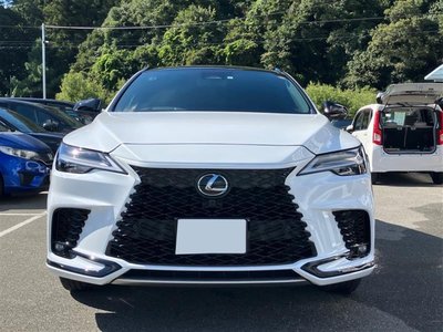 LEXUS RX - 6
