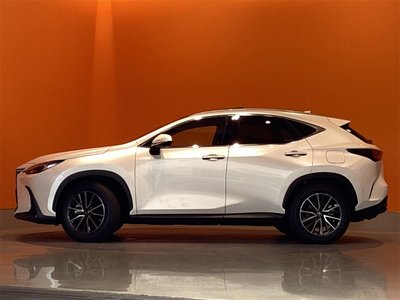 2025 Lexus NX — миниатюра 17