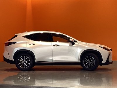 2025 Lexus NX — миниатюра 13