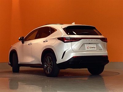 2025 Lexus NX — миниатюра 16