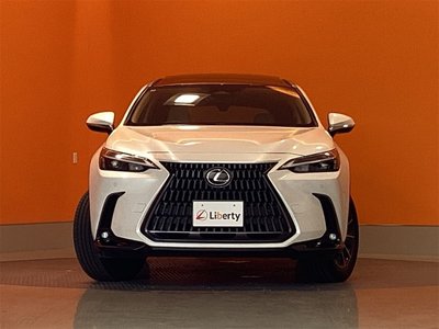 2025 Lexus NX — миниатюра 11