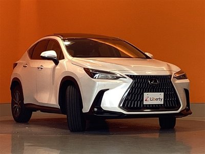 2025 Lexus NX — миниатюра 12