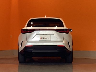 2025 Lexus NX — миниатюра 15