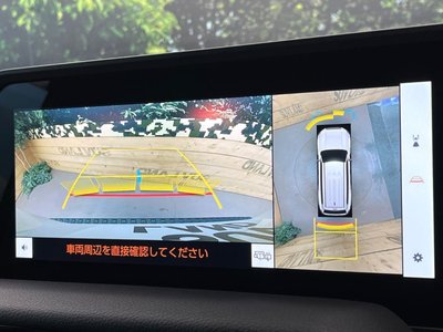 TOYOTA LAND CRUISER 250 - 5