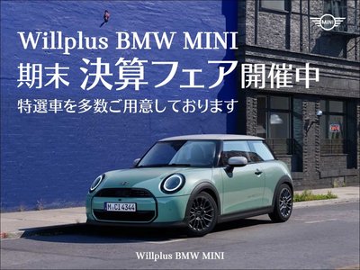 MINI MINI COUNTRYMAN - 2