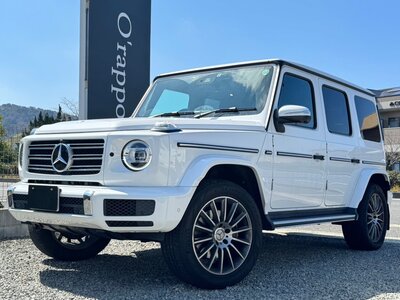 MERCEDES-BENZ G-CLASS