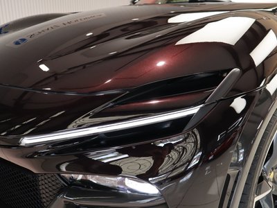 FERRARI PUROSANGUE - 9