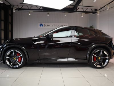 FERRARI PUROSANGUE - 3