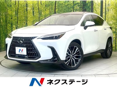LEXUS NX - 1