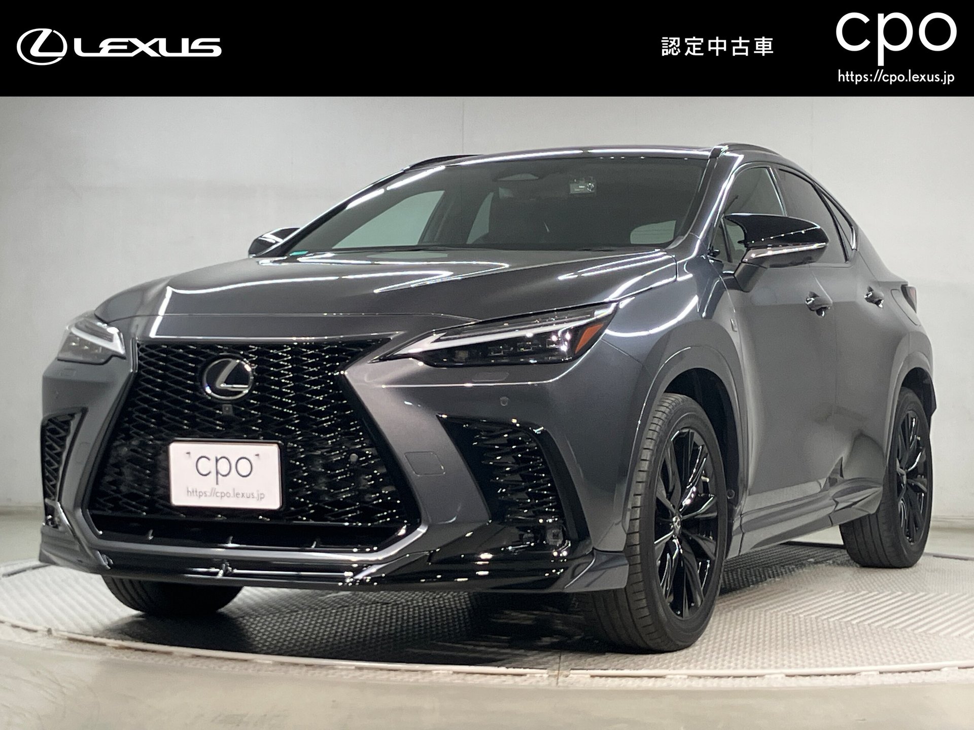 LEXUS NX - View 1