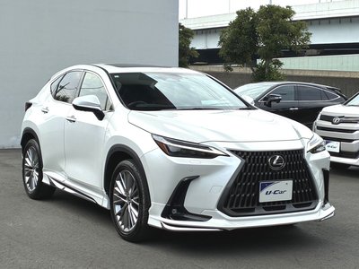 2023 Lexus NX — миниатюра 33