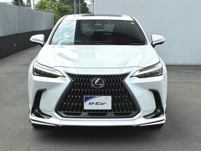 2023 Lexus NX — миниатюра 32