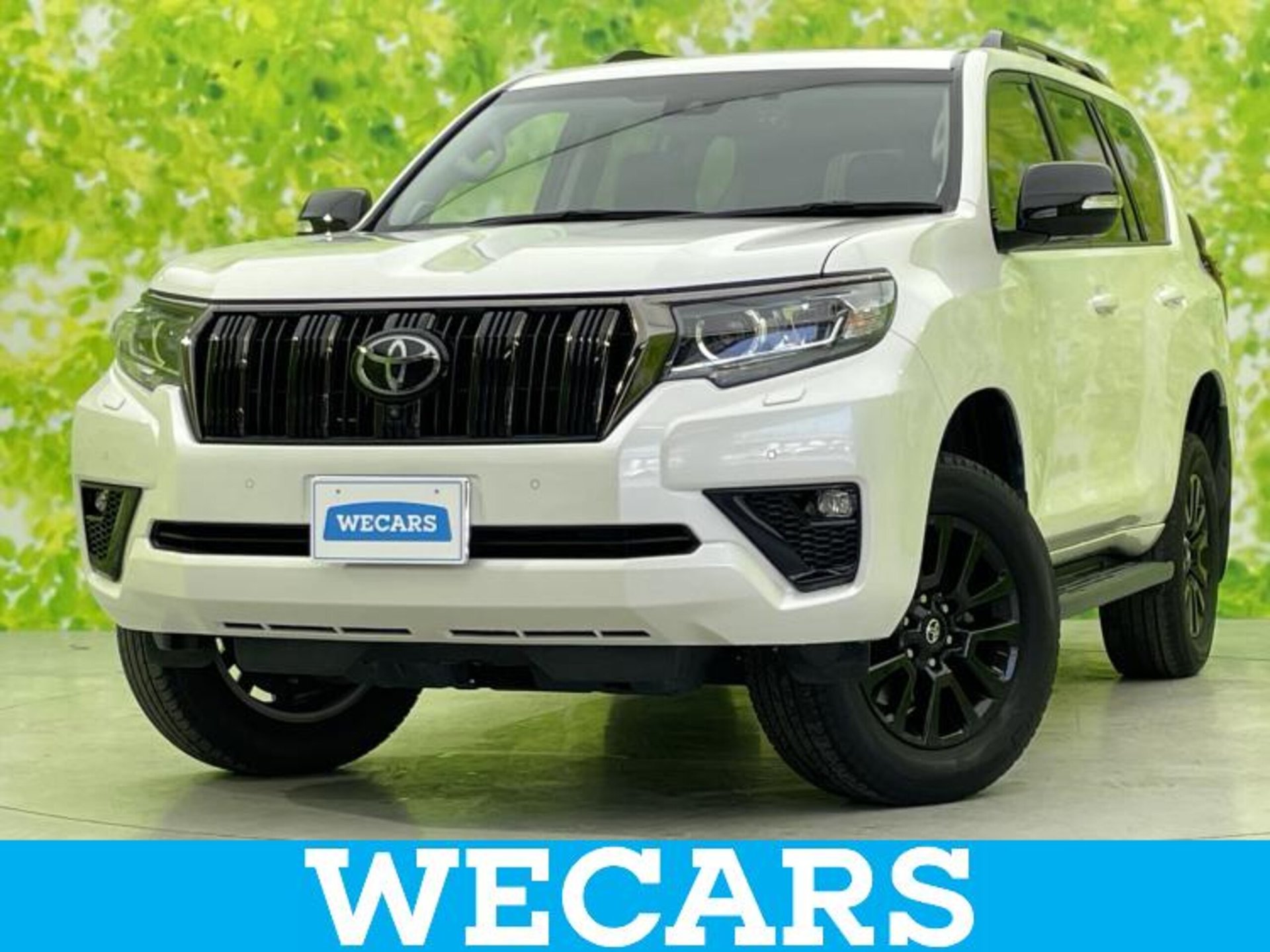 TOYOTA LAND CRUISER PRADO - View 1